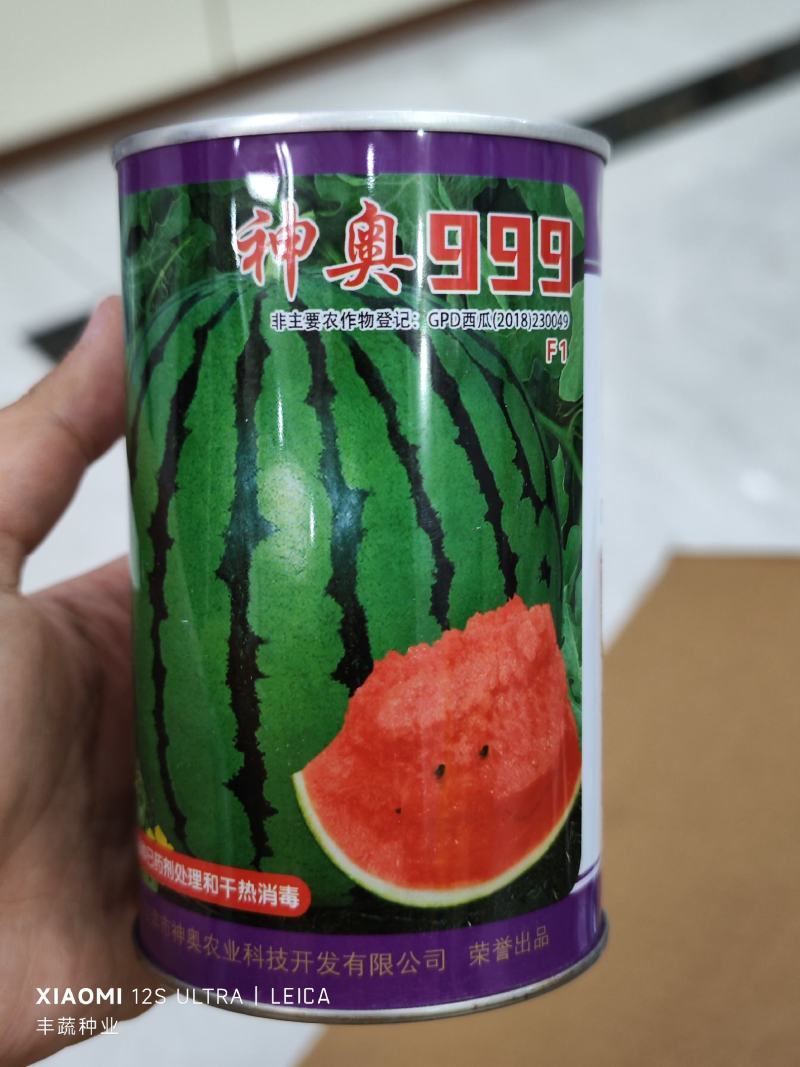 神奥999西瓜种子，900粒，大果型16千克到21千克