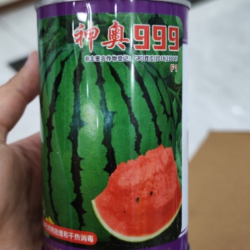 神奥999西瓜种子，900粒，大果型16千克到21千克