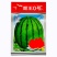 甜王西瓜品种状元大天王高圆品种，大红瓤杂交中早熟品种