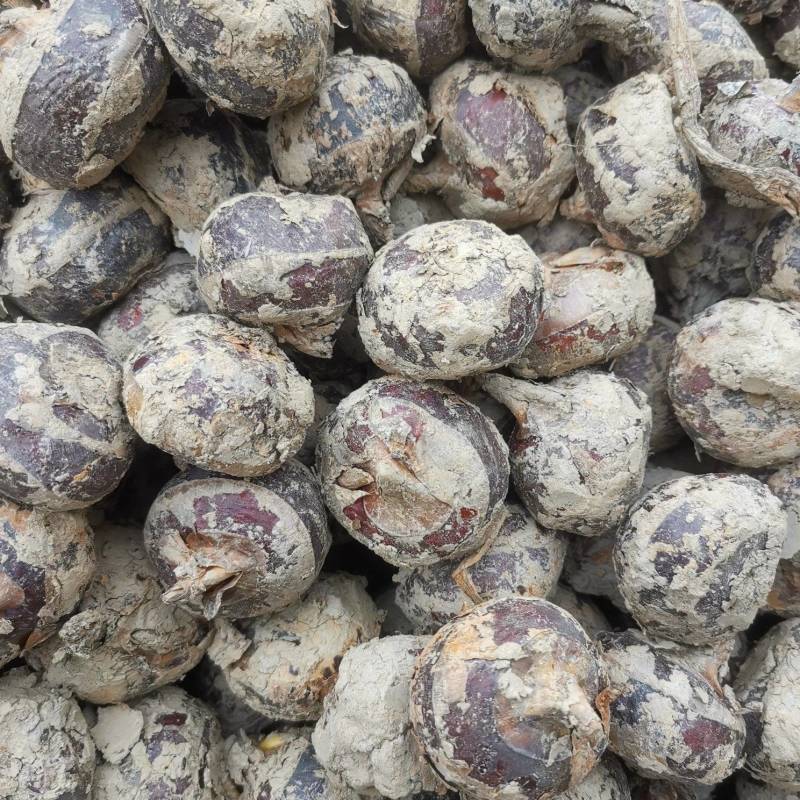 江西荸荠毛马蹄大中果品质保证，欢迎新老客户订购。
