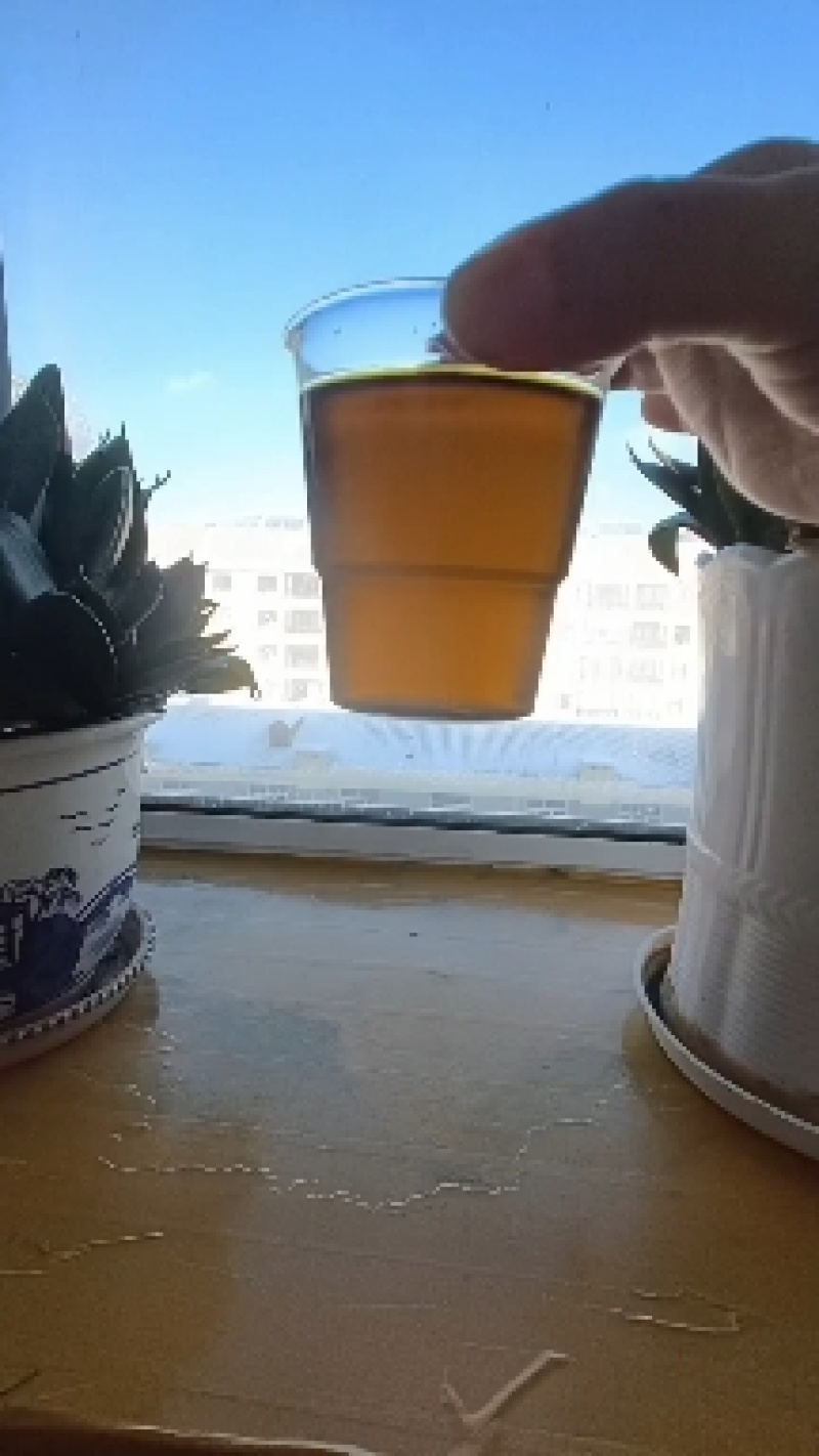 俄罗斯进口油菜籽，含油45+出油42+油色金黄