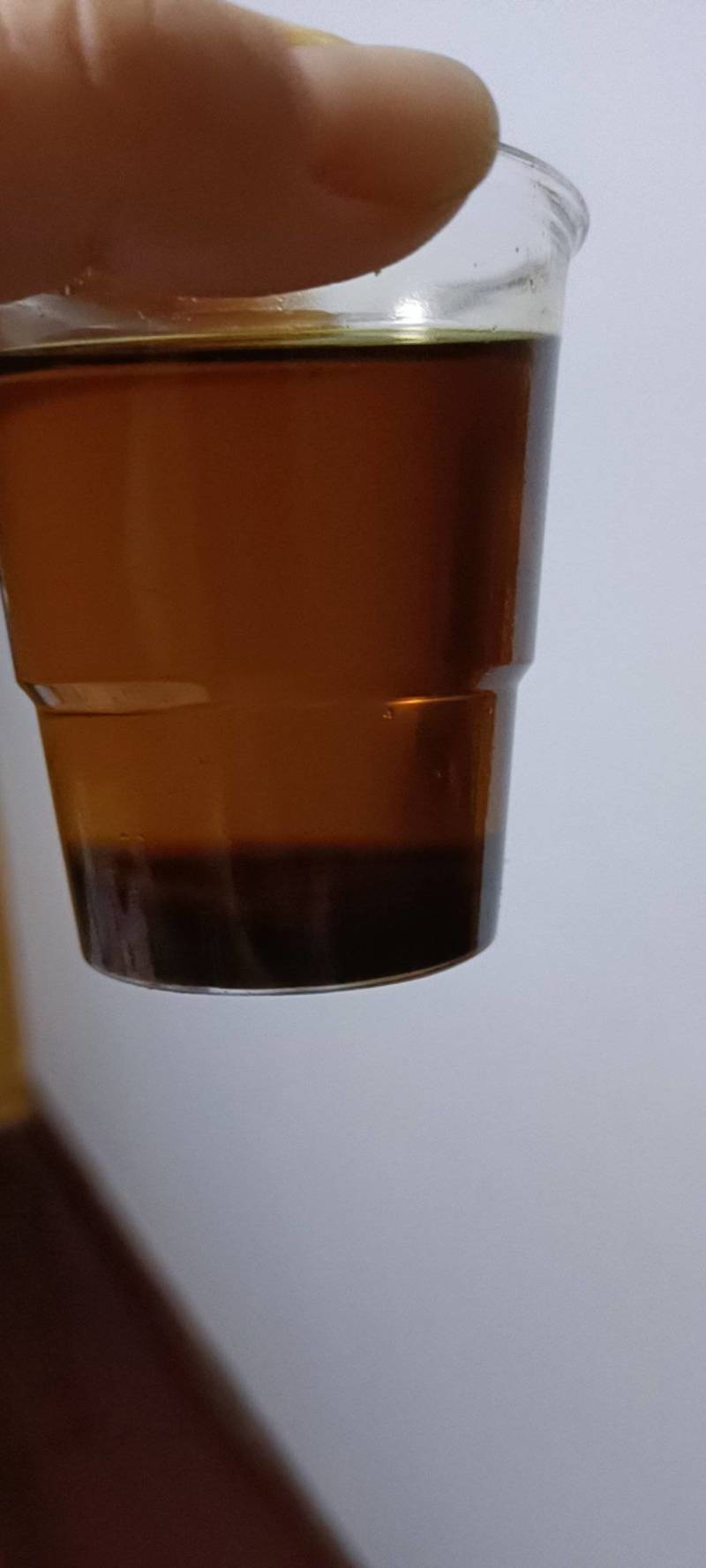 俄罗斯进口油菜籽，含油高，出有多，色泽金黄