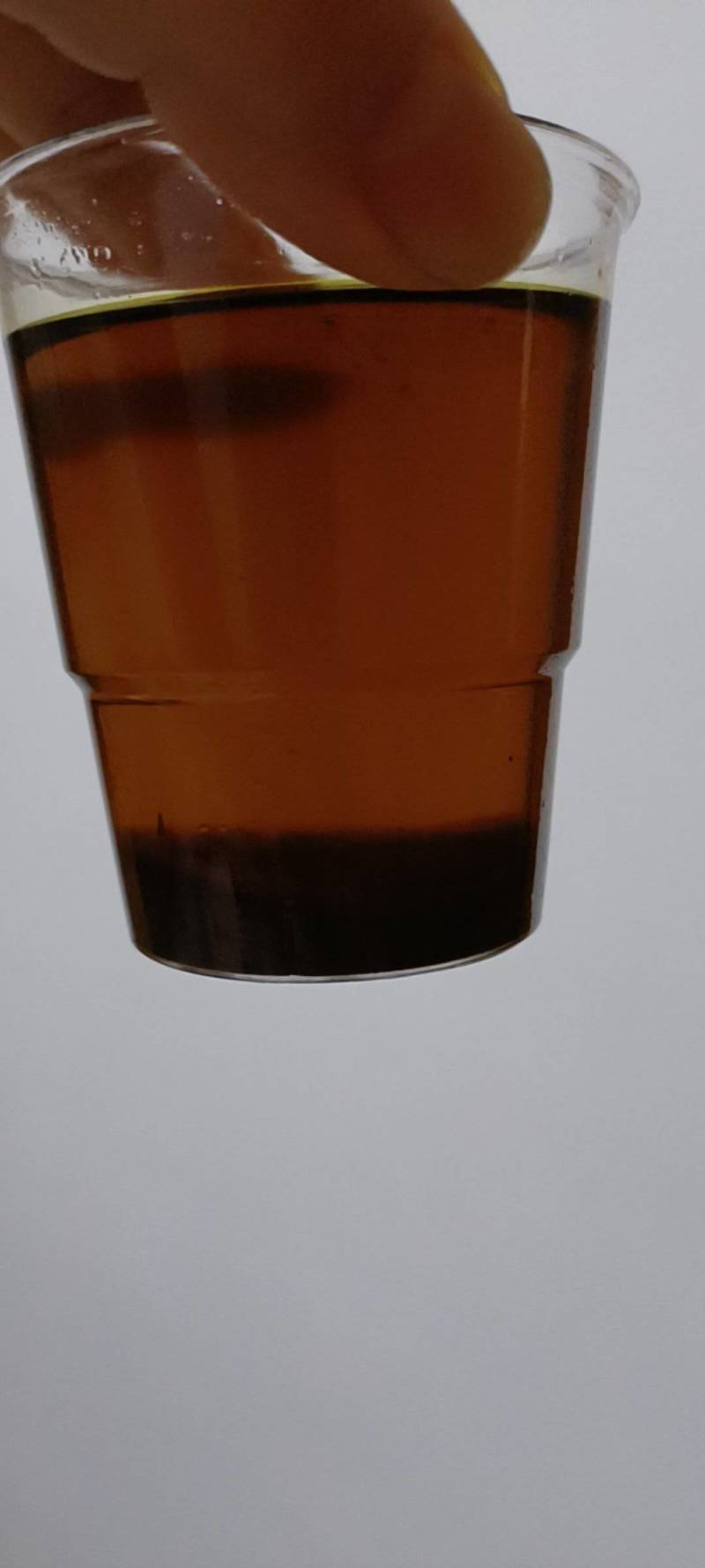 俄罗斯进口油菜籽，含油高，出有多，色泽金黄