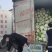 湖北省天门市大白菜