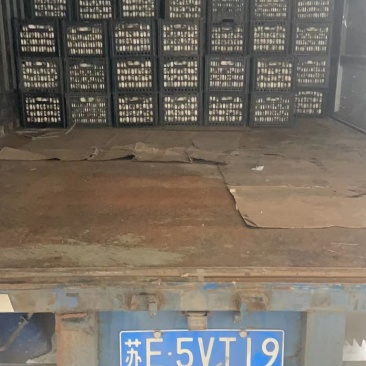 鲜鸭蛋，精品鸭蛋裂纹蛋，批发旅游，微商社区团购供应礼品
