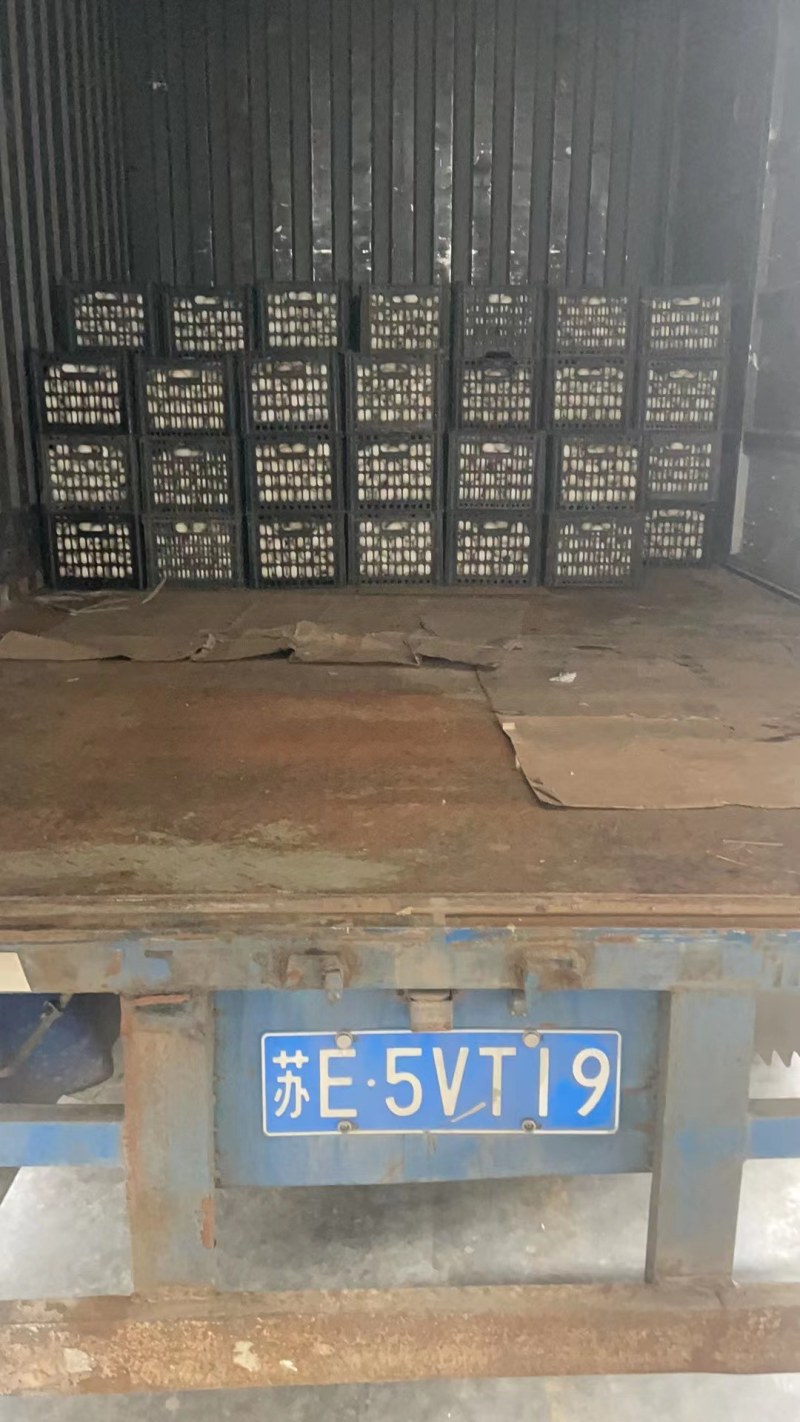 鲜鸭蛋，精品鸭蛋裂纹蛋，批发旅游，微商社区团购供应礼品