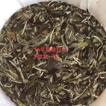 老白茶