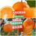 电商伦晚果冻橙中华红血橙锦橙对接超市社团供应链