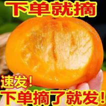 【巧克力脆柿】新鲜甜脆柿子水果当季农家山西硬柿子脆皮柿子