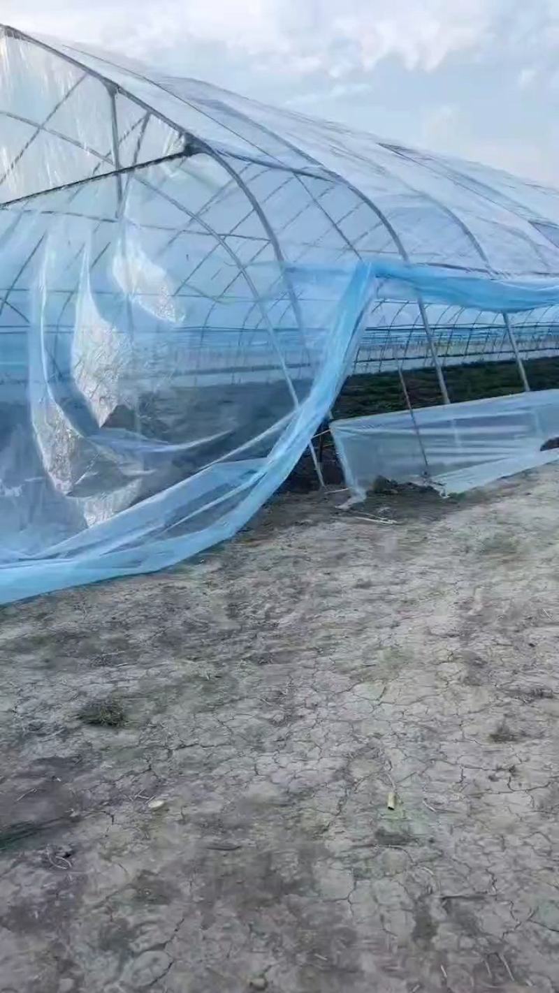 大棚膜PO膜5+1生产工艺，添加高保温剂，双重保温高透光