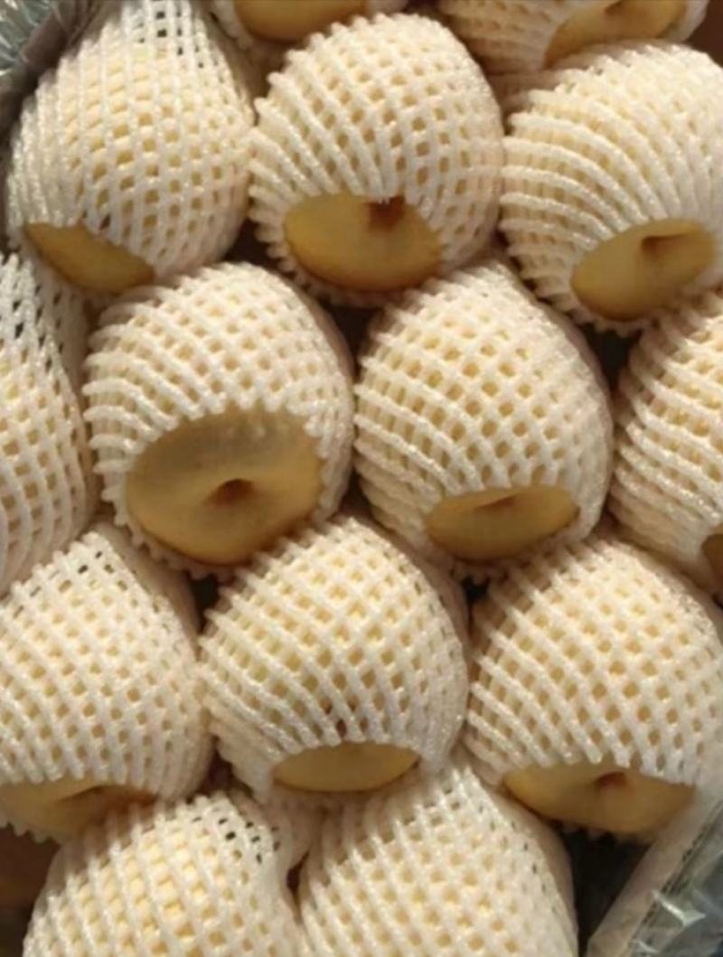 【平遥贡梨】大量有货品质保证产地直发诚信经营