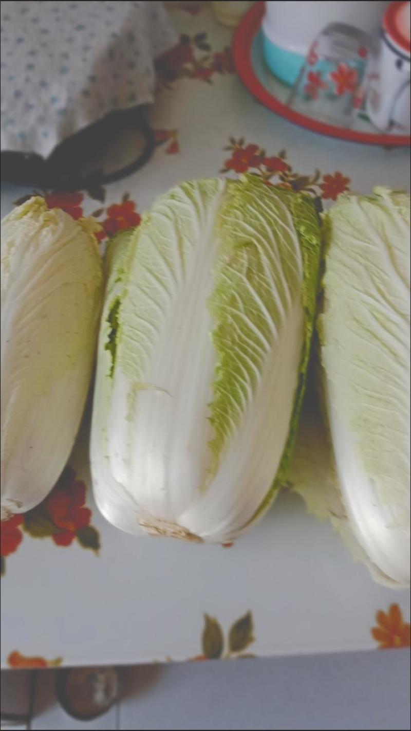 大白菜新鲜整箱1-9斤包心菜时令蔬菜可做酸菜辣白菜