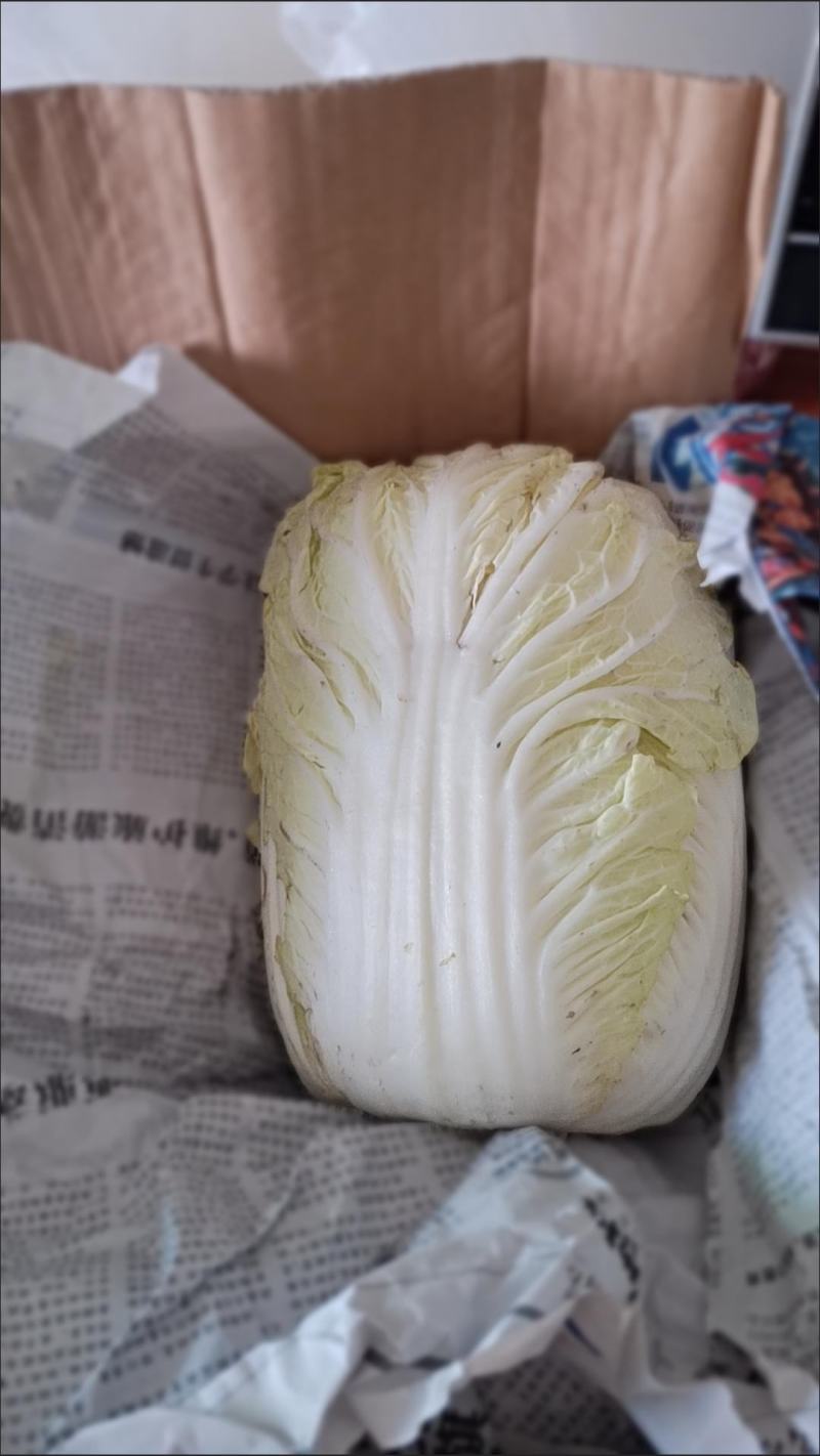 大白菜新鲜整箱1-9斤包心菜时令蔬菜可做酸菜辣白菜