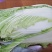 大白菜新鲜整箱1-9斤包心菜时令蔬菜可做酸菜辣白菜