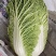 大白菜新鲜整箱1-9斤包心菜时令蔬菜可做酸菜辣白菜