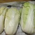 大白菜新鲜整箱1-9斤包心菜时令蔬菜可做酸菜辣白菜
