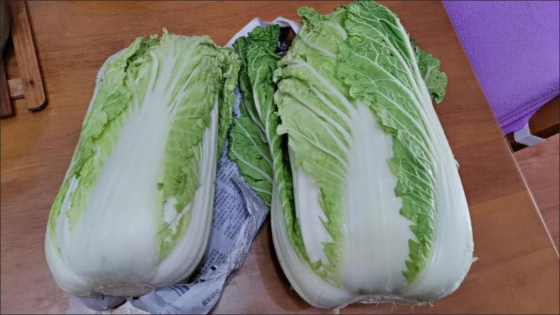 大白菜新鲜整箱1-9斤包心菜时令蔬菜可做酸菜辣白菜