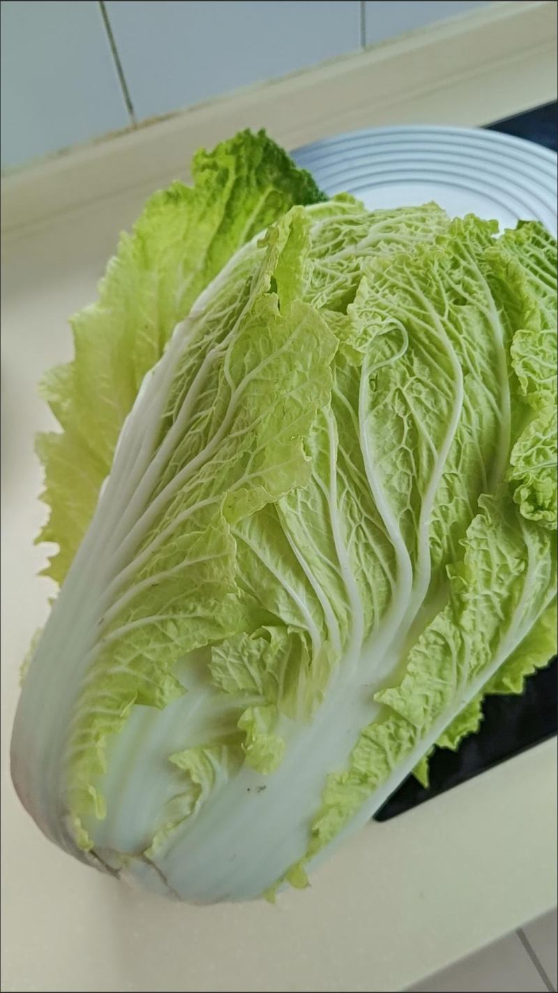 大白菜新鲜整箱1-9斤包心菜时令蔬菜可做酸菜辣白菜