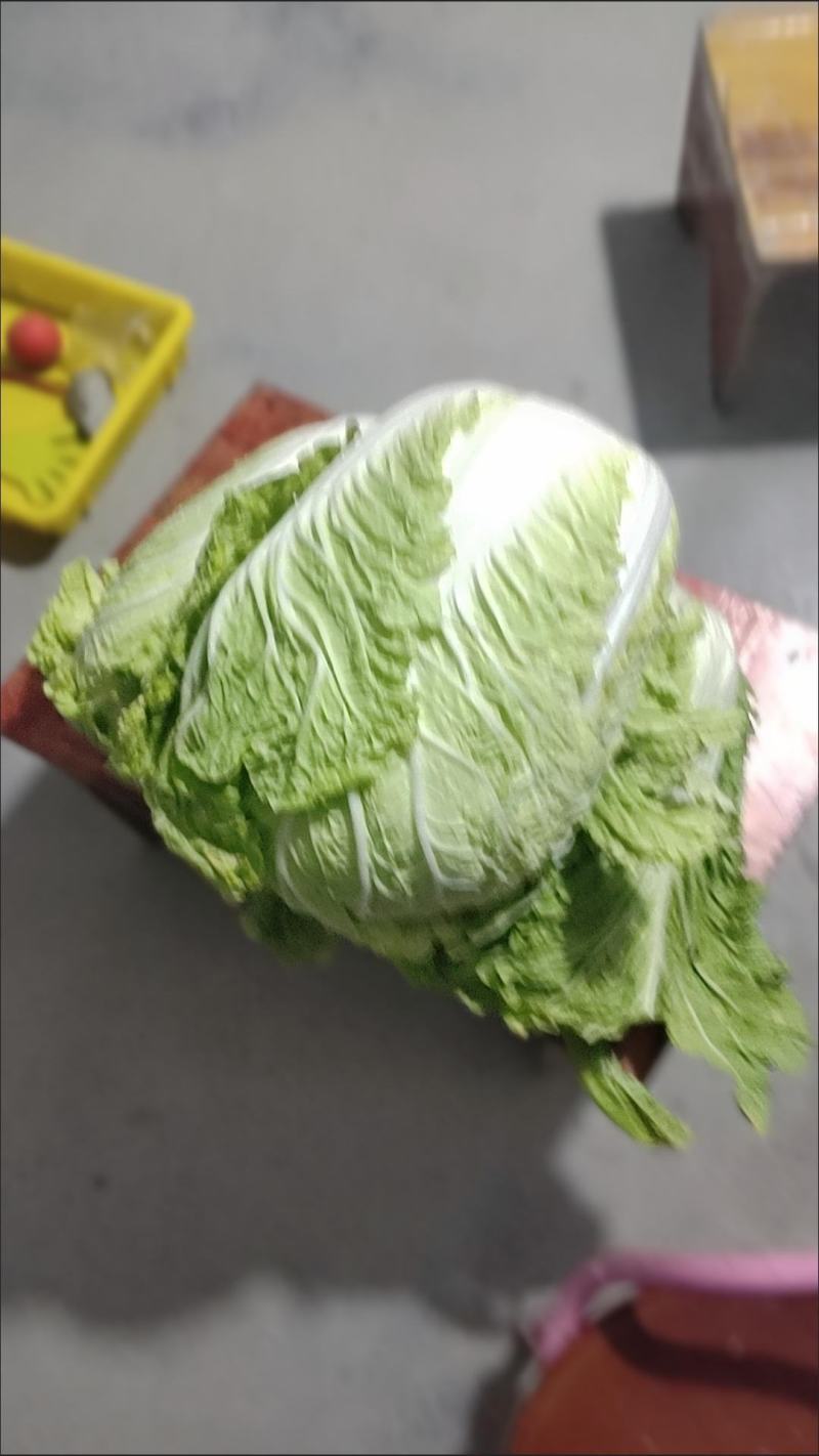 大白菜新鲜整箱1-9斤包心菜时令蔬菜可做酸菜辣白菜