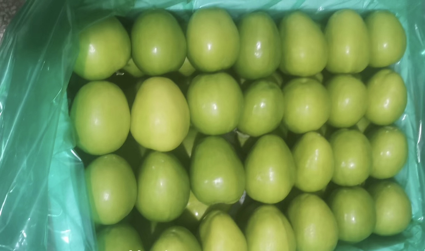 红宝石青枣电商打包发货现场