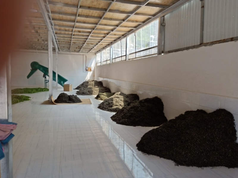 云南凤庆滇红茶宝塔蜜香花香麦芽香薯香古树红茶批发