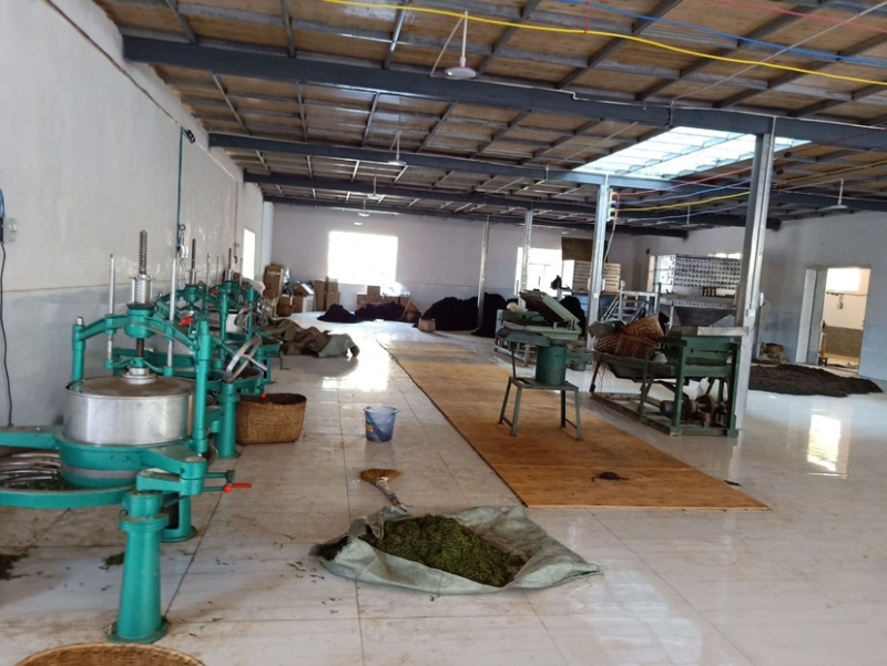 云南凤庆滇红茶宝塔蜜香花香麦芽香薯香古树红茶批发