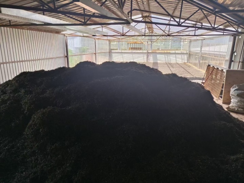 云南凤庆滇红茶宝塔蜜香花香麦芽香薯香古树红茶批发