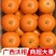沃柑55起步，电商，团购，50起步，60起步