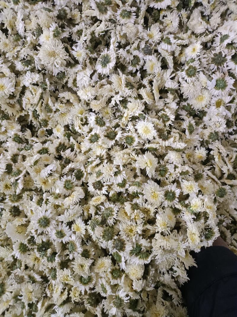 黄山本地贡菊，一手货源，价格可谈，诚信经营