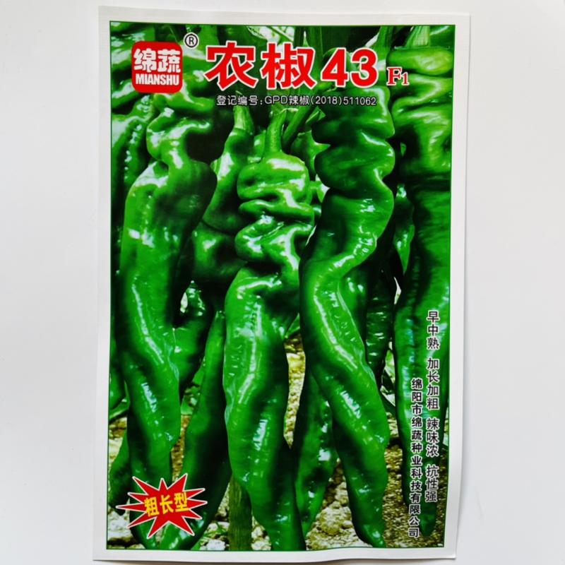 绵蔬农椒43号螺丝椒种子大果型香辣品种杂交一代种子