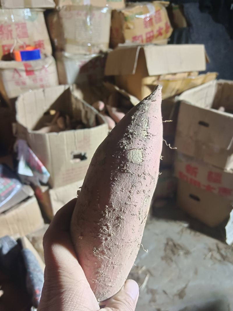 烟薯25唐山货红皮红心一箱50斤红皮红心甜蜜