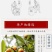 祁涵堂枇粑秋梨膏养喉肺严选原材料按君臣佐使配伍