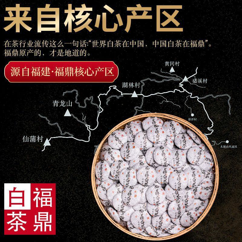 福鼎白茶小茶饼2016年白牡丹王白茶小饼茶饼干茶