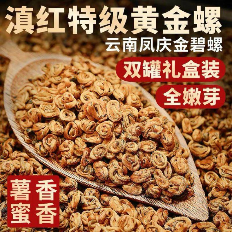 【滇红黄金螺】2022云南凤庆滇红金螺特级蜜香型全黄芽高