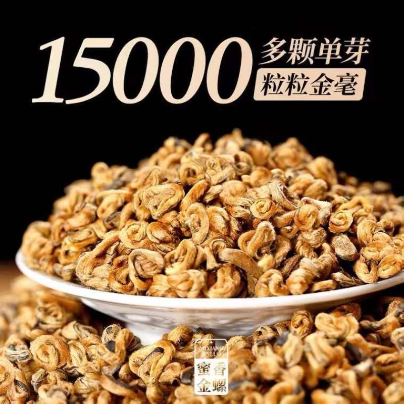 【滇红黄金螺】2022云南凤庆滇红金螺特级蜜香型全黄芽高