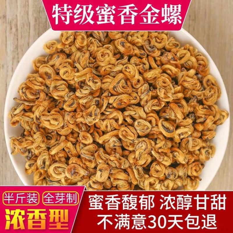 【滇红黄金螺】2022云南凤庆滇红金螺特级蜜香型全黄芽高