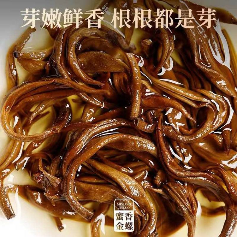 【滇红黄金螺】2022云南凤庆滇红金螺特级蜜香型全黄芽高