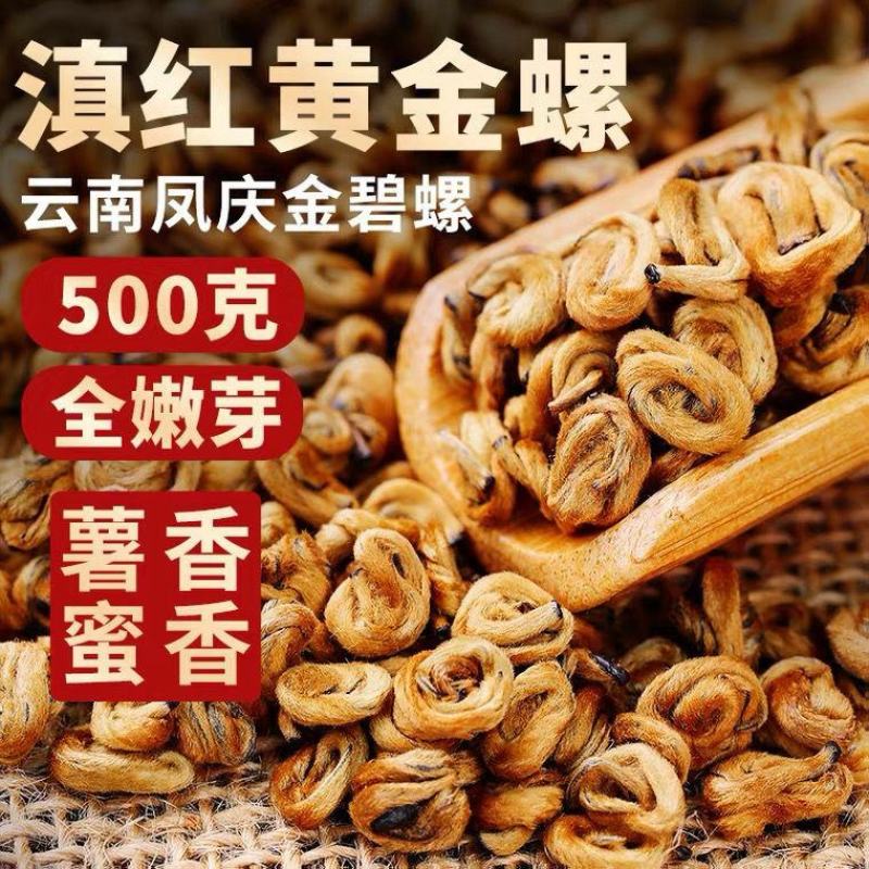 【滇红黄金螺】2022云南凤庆滇红金螺特级蜜香型全黄芽高