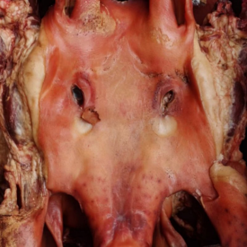 【腊肉】全脸烟熏腊猪头带耳朵，烟熏半边无耳，一件50斤