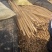 本处经营各种品类麻山药，代购代发，诚信经营质量保证