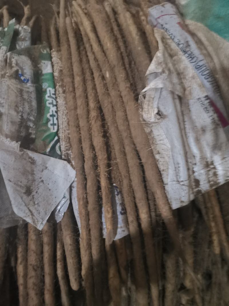 本处经营各种品类麻山药，代购代发，诚信经营质量保证