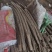 本处经营各种品类麻山药，代购代发，诚信经营质量保证