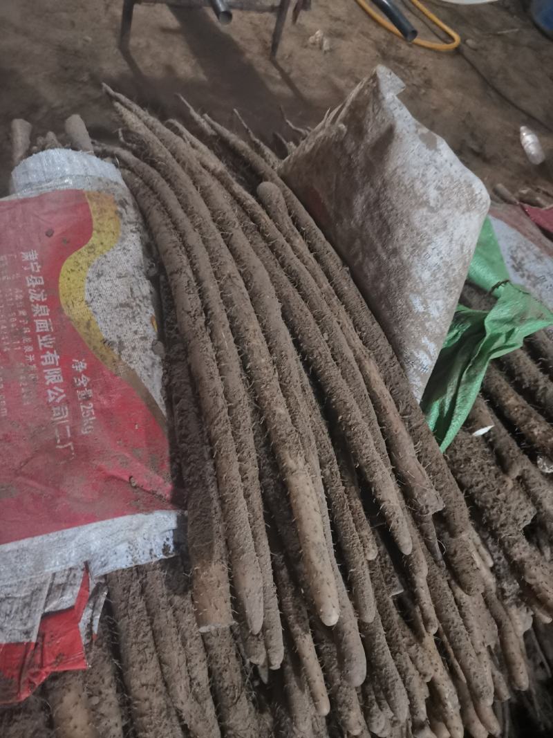 本处经营各种品类麻山药，代购代发，诚信经营质量保证
