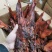 【腊肉】全脸烟熏腊猪头带耳朵，烟熏半边无耳，一件50斤