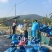 鹌鹑粪有机肥
