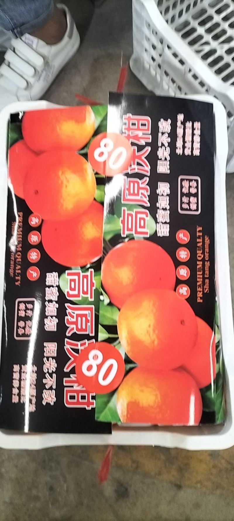 云南高原沃柑，精品沃柑新鲜供应，电商货大量上市产地直发