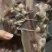 熟牛头肉，可切块，切片，可供商超，食堂，市场