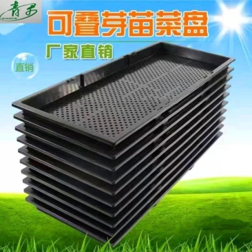商用加厚育苗盘芽苗菜种植盘育苗托盘水培蔬菜盘无土栽培批发