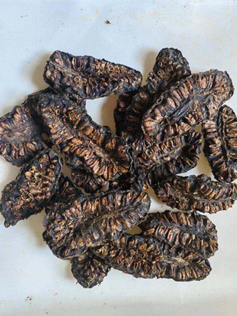 诺丽果，干，鲜