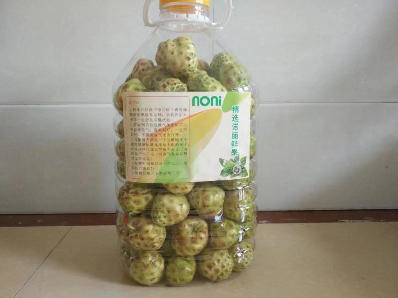 诺丽果，干，鲜